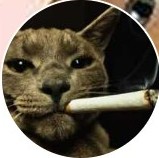 Eric J - FindYourCat.info creator